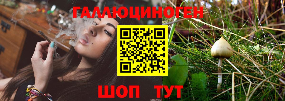 Псилоцибиновые грибы GOLDEN TEACHER  Вход с VPN  Псилоцибиновые грибы ЛСД  Артёмовский 