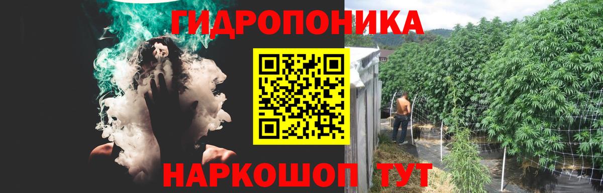 Бошки марихуана тримм  Каннабис White Widow  Артёмовский  Вход с VPN 